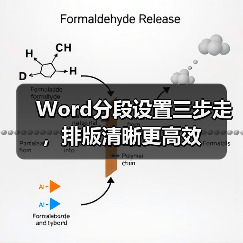 Word分段设置三步走，排版清晰更高效（图4）