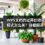 WPS文档自动开启修订模式怎么关？详细解决教程（图2）