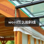 word怎么画斜线(图2) word怎么画斜线(图2)