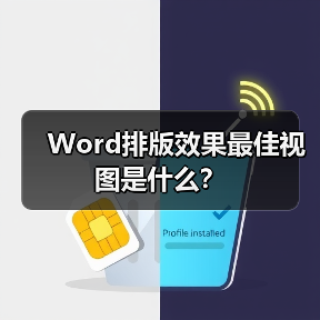 Word排版效果最佳视图是什么？（图4）