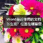 Word最近使用的文档怎么找?位置在哪里查看(图4) Word最近使用的文档怎么找?位置在哪里查看(图4)