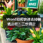 Word如何快速去掉稿纸边框？三步搞定（图3）