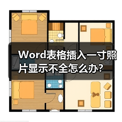 Word表格插入一寸照片显示不全怎么办？（图3）