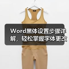 Word黑体设置步骤详解，轻松掌握字体更改技巧（图2）