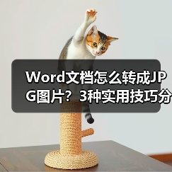 Word文档怎么转成JPG图片？3种实用技巧分享（图3）