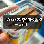 Word表格如何设置统一大小？（图4）