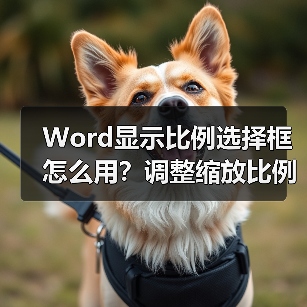 Word显示比例选择框怎么用？调整缩放比例教程（图2）