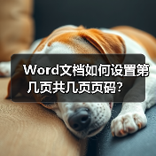 Word文档如何设置第几页共几页页码?(图2) Word文档如何设置第几页共几页页码?(图2)
