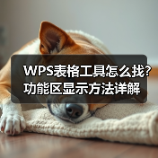 WPS表格工具怎么找？功能区显示方法详解（图4）