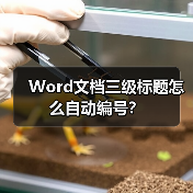 Word文档三级标题怎么自动编号?(图4) Word文档三级标题怎么自动编号?(图4)
