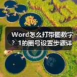 Word怎么打带圈数字?1的圈号设置步骤详解(图2) Word怎么打带圈数字?1的圈号设置步骤详解(图2)