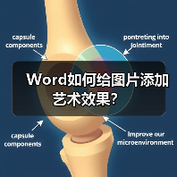 Word如何给图片添加艺术效果？（图3）