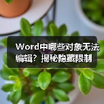 Word中哪些对象无法编辑?揭秘隐藏限制(图1) Word中哪些对象无法编辑?揭秘隐藏限制(图1)