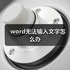 word无法输入文字怎么办（图2）