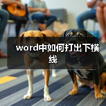 word中如何打出下横线(图2) word中如何打出下横线(图2)