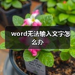 word无法输入文字怎么办（图3）