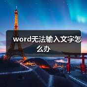 word无法输入文字怎么办（图4）
