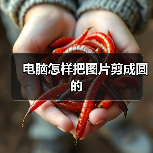 电脑怎样把图片剪成圆的（图2）