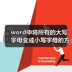 word中将所有的大写字母变成小写字母的方法（图2）