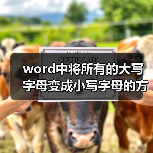 word中将所有的大写字母变成小写字母的方法（图4）