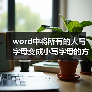 word中将所有的大写字母变成小写字母的方法（图3）