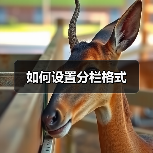 如何设置分栏格式(图4) 如何设置分栏格式(图4)