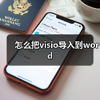 怎么把visio导入到word(图1) 怎么把visio导入到word(图1)