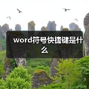 word符号快捷键是什么(图2) word符号快捷键是什么(图2)