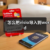 怎么把visio导入到word(图4) 怎么把visio导入到word(图4)
