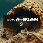 word符号快捷键是什么(图4) word符号快捷键是什么(图4)