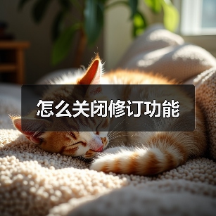 怎么关闭修订功能(图4) 怎么关闭修订功能(图4)