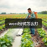 word分式怎么打（图4）