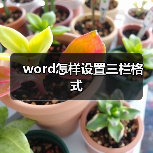 word怎样设置三栏格式(图3) word怎样设置三栏格式(图3)