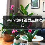 word怎样设置三栏格式(图4) word怎样设置三栏格式(图4)