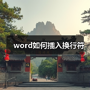 word如何插入换行符（图4）