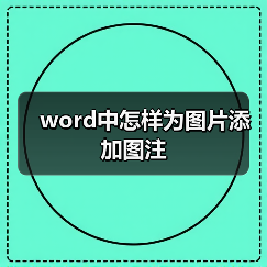 word中怎样为图片添加图注(图4) word中怎样为图片添加图注(图4)