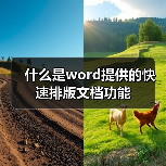 什么是word提供的快速排版文档功能(图4) 什么是word提供的快速排版文档功能(图4)