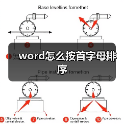 word怎么按首字母排序（图1）
