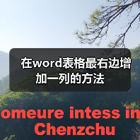 在word表格最右边增加一列的方法(图4) 在word表格最右边增加一列的方法(图4)