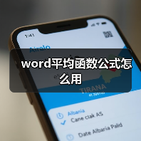 word平均函数公式怎么用（图1）