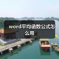 word平均函数公式怎么用（图2）