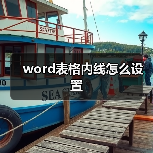 word表格内线怎么设置（图2）