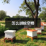 怎么删除空格（图4）
