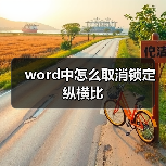 word中怎么取消锁定纵横比（图2）