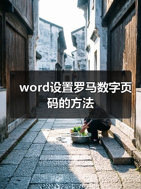 word设置罗马数字页码的方法(图1) word设置罗马数字页码的方法(图1)
