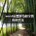 word设置罗马数字页码的方法(图3) word设置罗马数字页码的方法(图3)