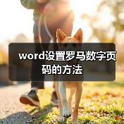 word设置罗马数字页码的方法(图4) word设置罗马数字页码的方法(图4)