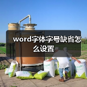word字体字号缺省怎么设置（图1）
