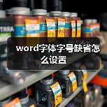 word字体字号缺省怎么设置（图3）