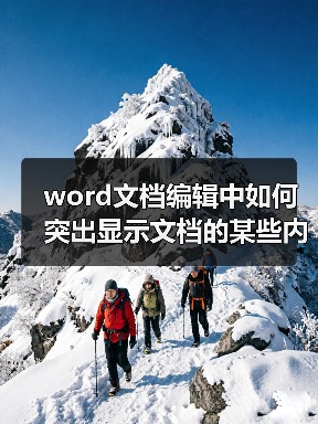 word文档编辑中如何突出显示文档的某些内容（图2）